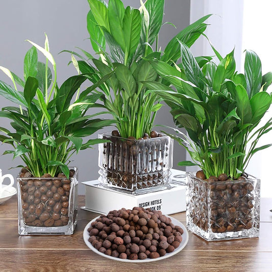 10LBS Leca Expanded Clay Pebbles Hydroponics Supplies for Indoor Garden Plants (10LBS