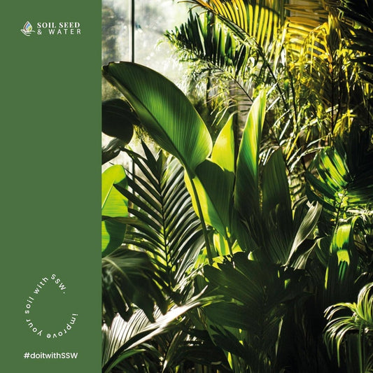 Tropic Treasure Tropical Potting Mix u2013 Rich Exotic Plants