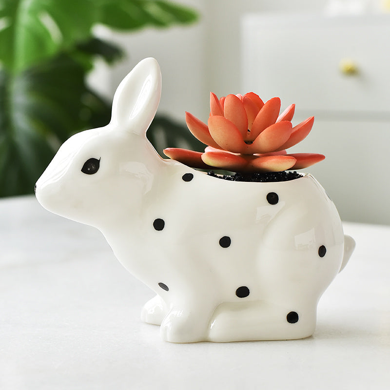 3pcs Cute Succulent Planter Tabletop Decoration for Living Room and Office