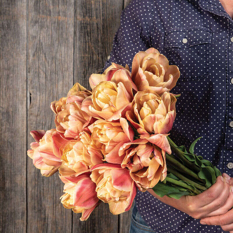 Neekseed garden- The Epoque Tulip Bulbs Johnny's Selected – Soft Lilac Blooms With Art Nouveau Ruffles For Parisian Salon Replicas And Belle poque-Themed Film Sets