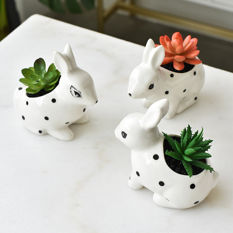 3pcs Cute Succulent Planter Tabletop Decoration for Living Room and Office